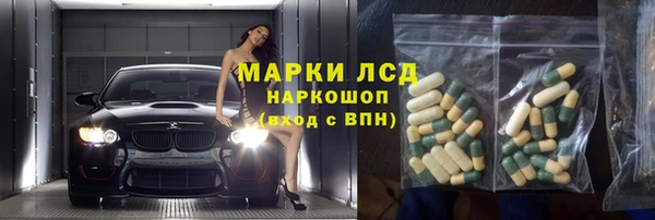 хмурый Няндома