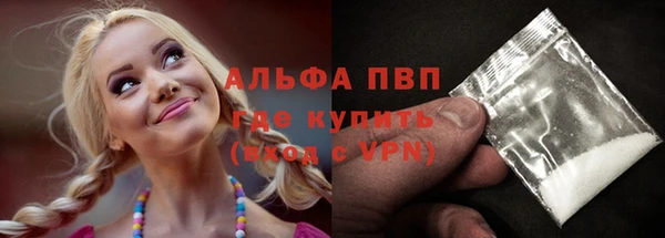 хмурый Няндома
