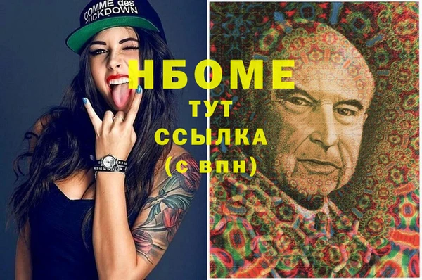 хмурый Няндома