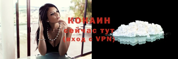 хмурый Няндома