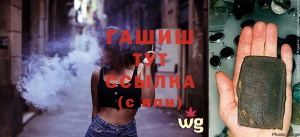 хмурый Няндома