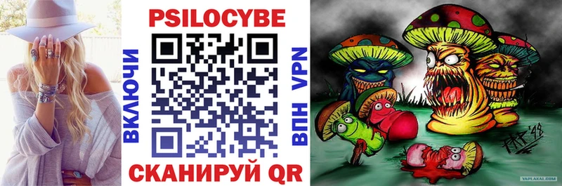 Псилоцибиновые грибы Psilocybe  Купить где  Истра 